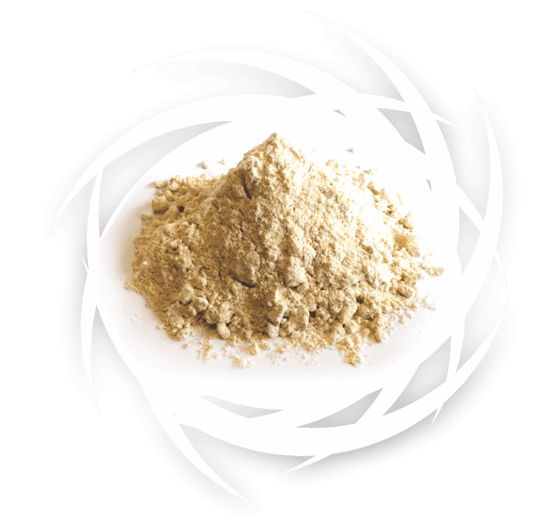 procesadora de alimentos animales