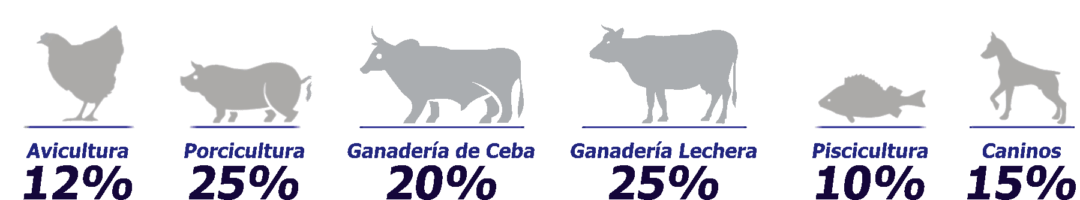 procesadora de alimentos